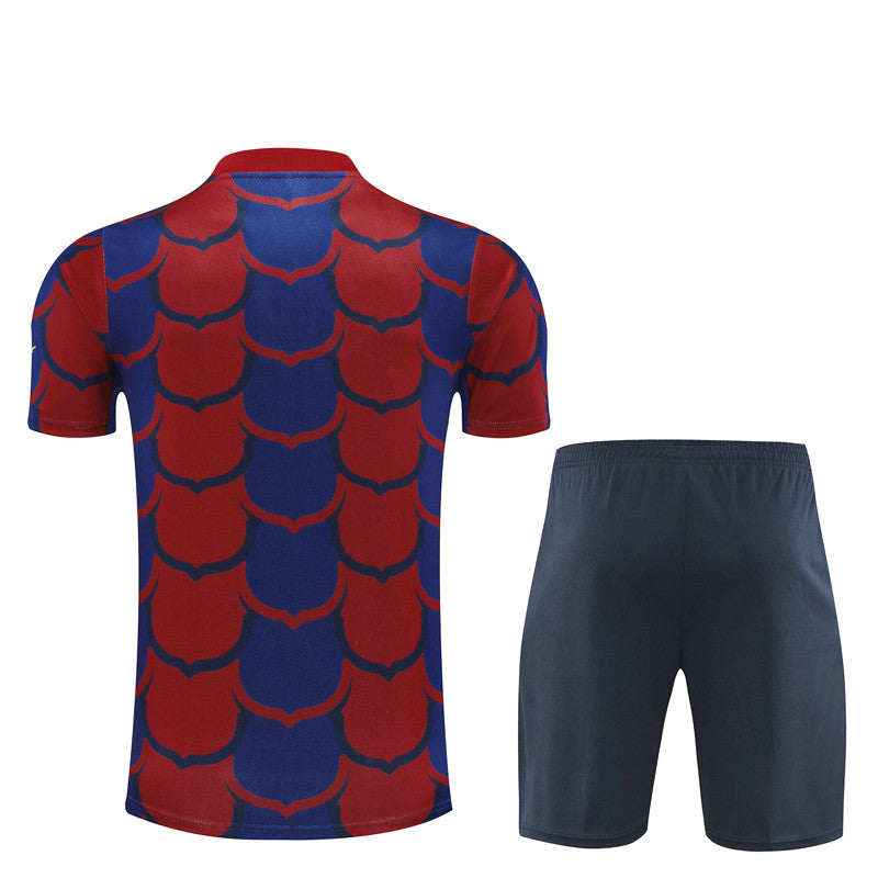 Maglia e Pantaloncini pre-allenamento FC Barcelona 24/25