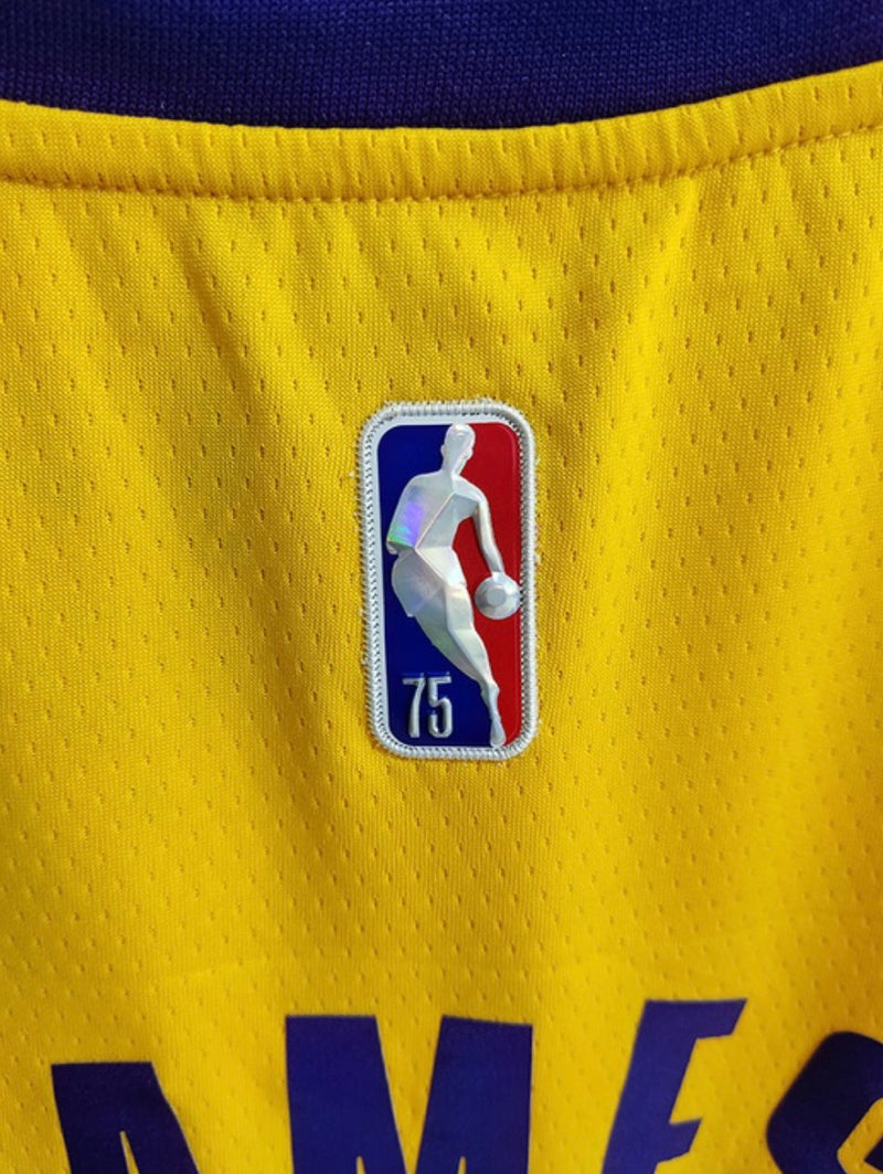 Maglia NBA Los Angeles Lakers